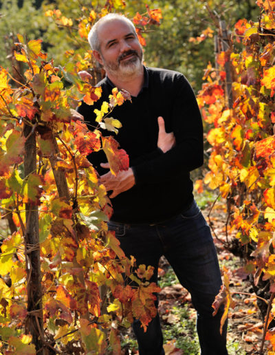 Portrait de Julien Pilon dans les vignes de son domaine
